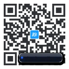 系统版 iOS 二维码